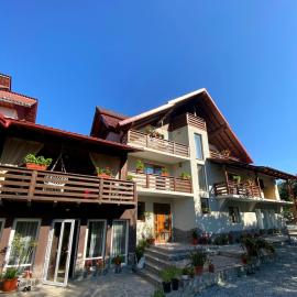 Vila Sorina，位于博尔沙的酒店