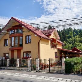 Casa cu Flori Moisei，位于莫伊塞的酒店