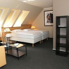 Hotel Altstadt-Passage，位于Wittingen的酒店