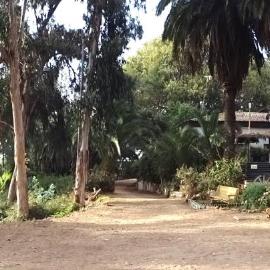 Posada del Parque，位于康康的酒店