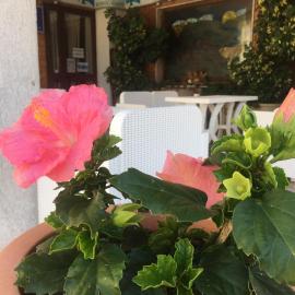 Hotel PINO LORICATO,位于Castelluccio Inferiore的酒店