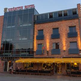 Hotel Vaidila,位于阿利图斯的酒店