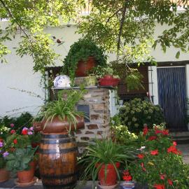 Apartamentos y Casas Rurales Las Terrazas de la Alpujarra，位于布维翁的酒店