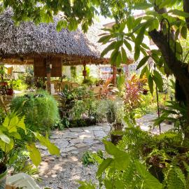 Hostal Casa Huasteca，位于巴耶斯城的酒店