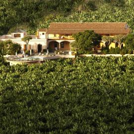 Hotel Rural Hacienda del Buen Suceso，位于阿鲁卡斯的酒店