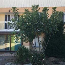 Irigny: Maison calme à 10 minutes de Lyon，位于伊格涅的酒店