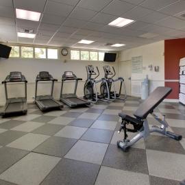 Holiday Inn Resort Orlando - Lake Buena Vista by IHG，位于奥兰多的酒店