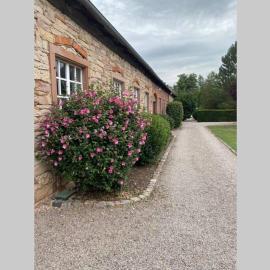 LE MOULIN DE GRESSWILLER