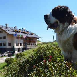 Rifugio Capanna Passo Valles，位于法尔西德的酒店