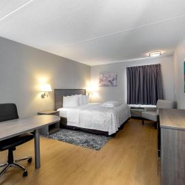Red Roof Inn PLUS Boston - Mansfield - Foxboro，位于曼斯费尔德的酒店