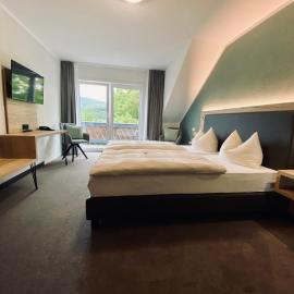 Hotel & Restaurant Kronenhof am Weser-Radweg，位于Oedelsheim的酒店