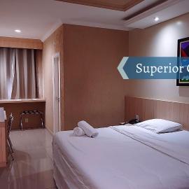 Express Hotel，位于戈亚尼亚的酒店