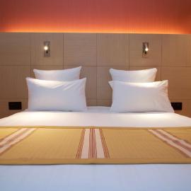 Nash Airport Hotel，位于日内瓦的酒店