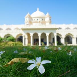 Gulaab Niwaas Palace，位于布什格尔的酒店