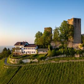 Burg Windeck ***S，位于布尔的酒店