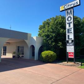 Citrus Motel，位于格里菲斯的酒店