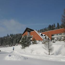 Dom Wypoczynkowy Pod Taborem，位于涅兹卡城堡的酒店