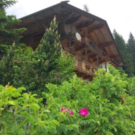 Appartements Fürstalm Alpendorf，位于盖洛斯的酒店