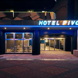 Hotel Pivot Shin-Imamiya Ekimae，位于大阪的酒店