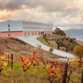 Plácido Hotel Douro - Tabuaço，位于塔布阿苏的酒店