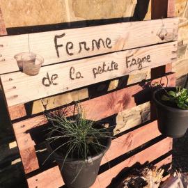 Ferme de la Petite Fagne，位于斯帕的酒店