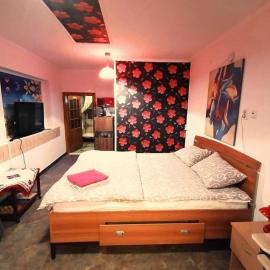Hostel Pascalis Alesd，位于Aleşd的酒店