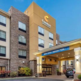 Comfort Inn & Suites Pittsburgh South，位于匹兹堡的酒店