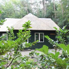 Vakantiehuis 't Musje，位于伊皮的酒店