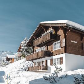 Chalet Sunna Höckli - Pistennah und Ruhig mit Panoramablick，位于阿罗萨的酒店