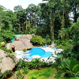 Cariblue Beach and Jungle Resort，位于别霍港的酒店