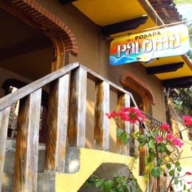 Posada Paloma，位于圣奥古斯蒂尼罗的酒店