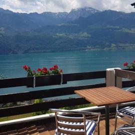 Gasthaus Platten，位于盖尔绍的酒店