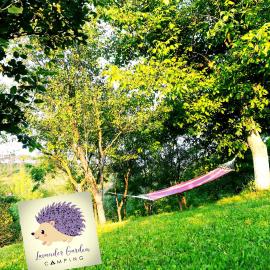 Lavander Garden，位于Răscruci的酒店