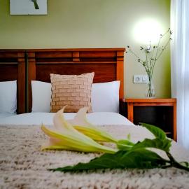 Hotel Pugide，位于利亚内斯的酒店