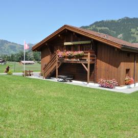 Alpenchalet Weidhaus Gstaad - verschiedene Wohneinheiten，位于格施塔德的酒店