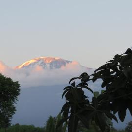 Kilimanjaro White House Hotel,位于莫希的酒店