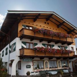 Gasthof Pension Lanzenhof，位于格英的酒店