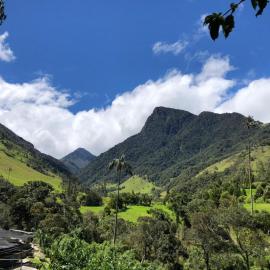 Cabañas Valle del Cocora La Truchera，位于萨兰托的酒店