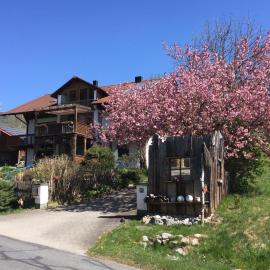 Ferienwohnung Gammer，位于林巴赫的酒店