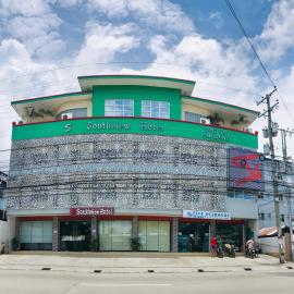 Southview Hotel,位于杜马格特的酒店