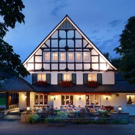 Landhotel Halbfas-Alterauge，位于德罗尔斯哈根的酒店