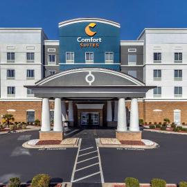 Comfort Suites Florence I-95，位于佛罗伦萨的酒店