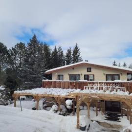Bowering Lodge，位于蓝山的酒店