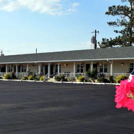 Birchwood inn,位于钦科蒂格的酒店