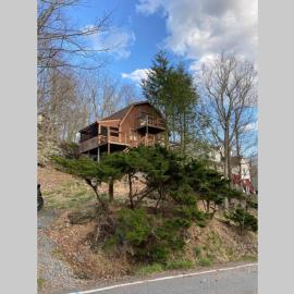Regent Hilltop Cabin，位于Sandyville的酒店