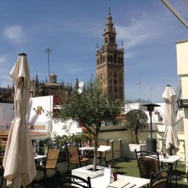 Hotel Palacio Alcázar