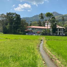 Hotel Spring View