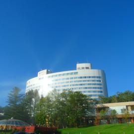 Shin Furano Prince Hotel，位于富良野的酒店