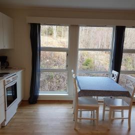 Seljord Apartment，位于赛尔尤尔的酒店