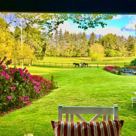 The Swiss hut 30 minutes from Copenhagen，位于Kvistgård的酒店